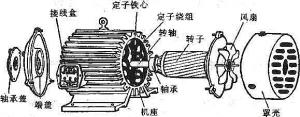 振動(dòng)電機(jī)損壞的常見原因有哪些？